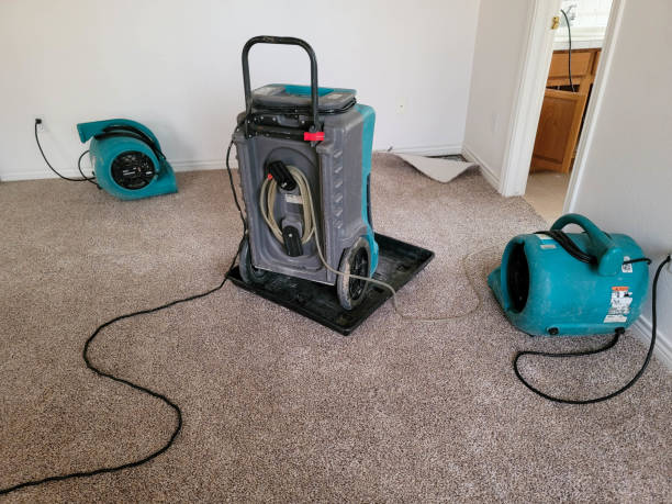 Best Fire Damage Restoration  in Garden City, ID