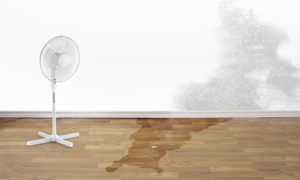 Best 24/7 water damage repair  in Garden City, ID