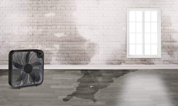 , ID Water damage restoration Company