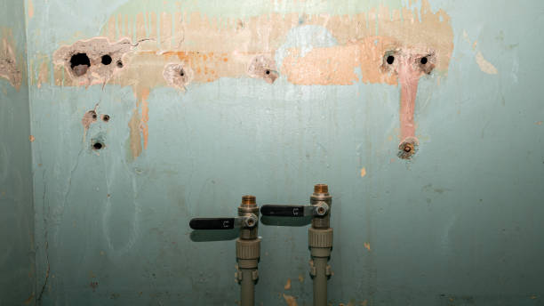 Best Professional water damage repair  in Garden City, ID