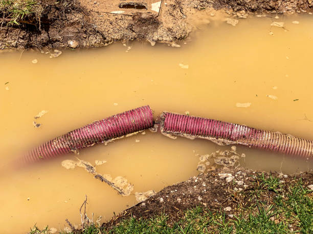 Best Sewage cleanup and water damage restoration  in Garden City, ID