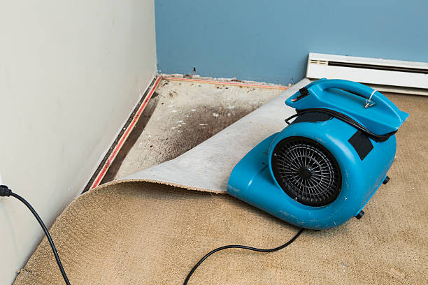 Best 24-hour water damage restoration  in Garden City, ID